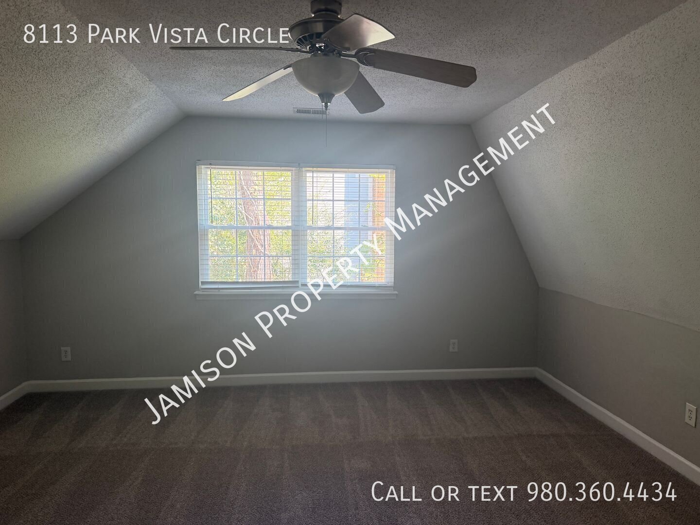 Lovely 3 Bed 2 Bath Home with Primary Down! property image